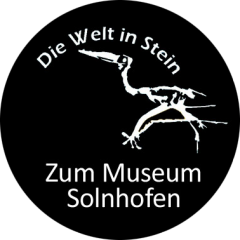 Button Zum Museum rund